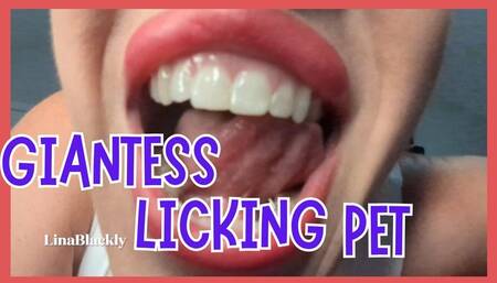Giantess's Oral Obsession