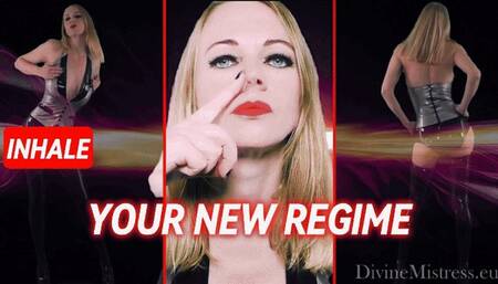 Your New Regime