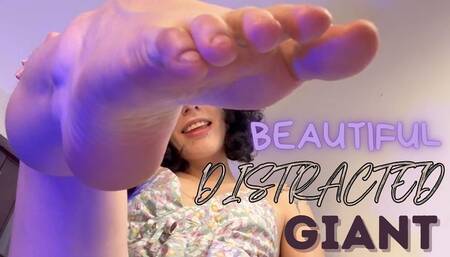 BEAUTIFUL DISTRACTED GIANT