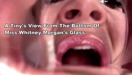 A Tiny’s View From The Bottom Of Miss Whitney Morgan’s Glass - mp4