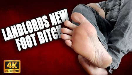 KingMarti: Landlords New Foot Bitch Massage & Suck Toes for Rent Relief 4k UHD