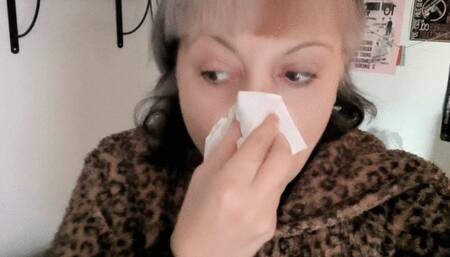 NOSE BLOWING HONKING CUTE