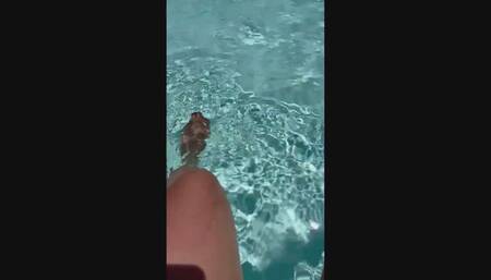 LadyFeet Enchanting Poolside Moments