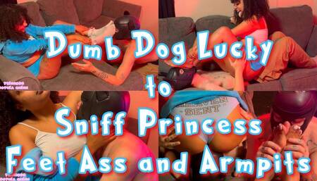 Dumb Dog Lucky to Sniff Princess Feet Ass + Armpits PET PLAY Foot Worship Ass Worship Armpit Worship