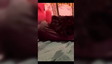 I spread my legs wide and take on my big cock dildo