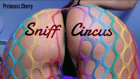 Sniff Circus