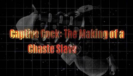 Captive Cock The Making of a Chaste Slave 18 min