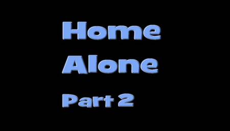 Home Alone 2