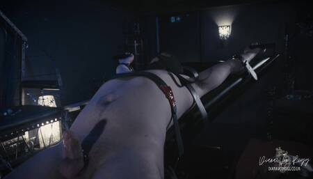 A Cruel Predicament