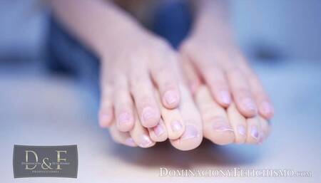 Foot JOI: Ghalia's little feet in your face