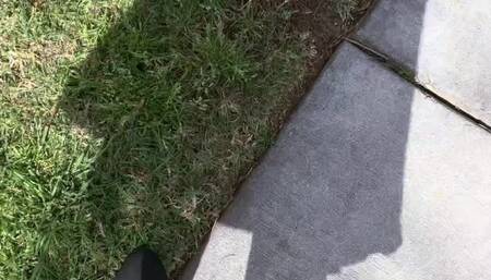 The Sound of Every Step – A Walk Through the Park