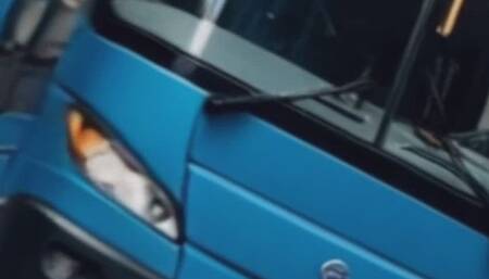 Giant Jay Takes The Neighborhood