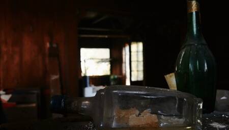 New Escape girl in Woods - chapter 3