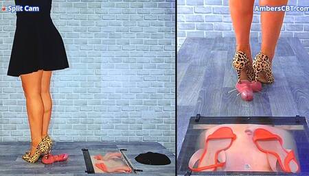 Smashing His Cock & Balls Under My Wild Stilettos - Split Cam - A143SPLIT