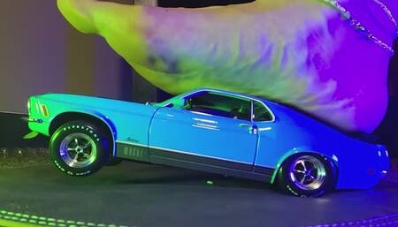 Erin's Slow Foot 69 Mustang Mashup