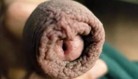 Hypn0 Alpha Cash Cock Foreskin!