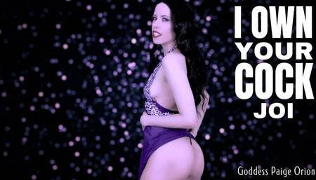 I Own Your Cock JOI : 720p