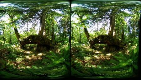 you have been cursed vr