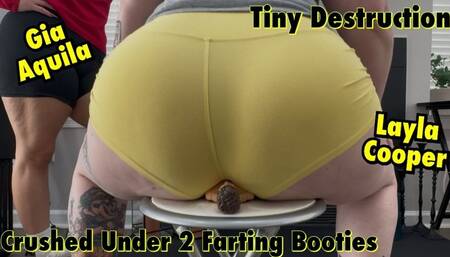 Shrunken Pervert Gets Destroyed by 2 Massive Gassy Asses!