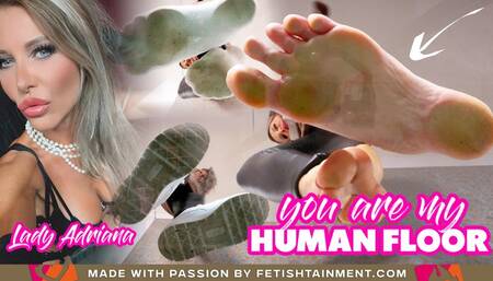 You are my human floor ( Foot Domination POV with Lady Adriana ) - 4K UHD MP4