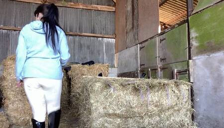 Pushed Over The Hay Bale