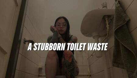 A Stubborn Toilet Waste