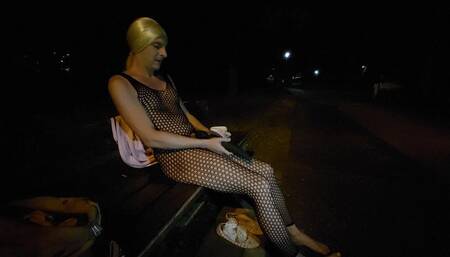 A Night in the Park