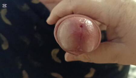 Playing with the Penis