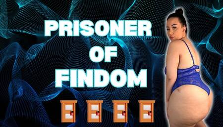 Prisoner of Findom