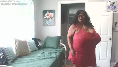 THE DRESS THE GIFT JUST FOR NORMA STITZ