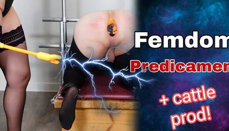 Femdom Predicament Bondage & Anal Fisting