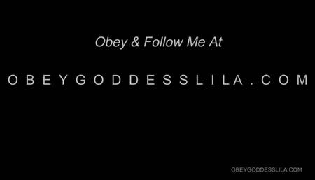 Armpit JOI, Obey & Stroke To My Armpits