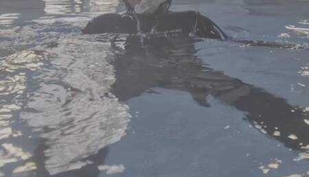 swimming full wetsuit and snorkel