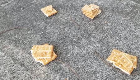 With flip-flops Roxan crushes, stomps and grinds foodstuffs (3)
