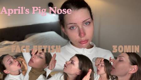 Pignose and fake distriong with glass and nylon