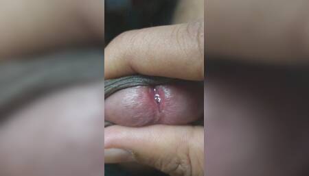 Foreplay Wih Penis in Closeup