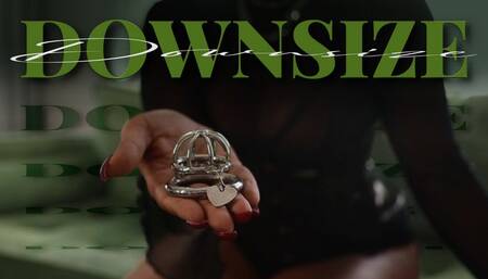 Downsize