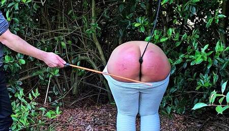 Taming a wild butt with plug, spanking, strap, wooden spoon, tazapper and cane