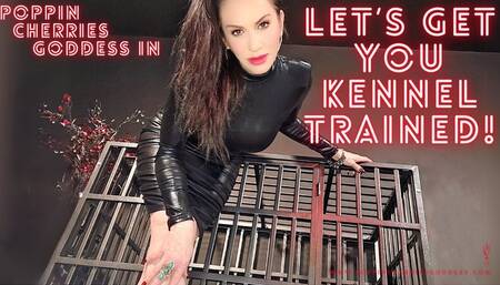 Let's Get You Kennel Trained!