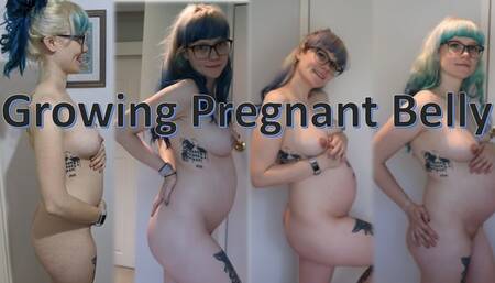 Pregnancy BELLY BUMP Growth