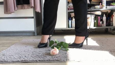 Feet show with rose!