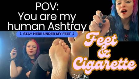 POV: You Are My Human Ashtray