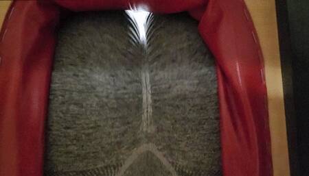 POV I Make You Smell My Sweaty Stinky Farts After I Workout