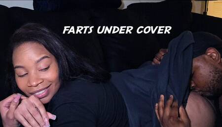 Farts Under Cover