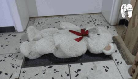 Sweet Teddy use as like a door mat