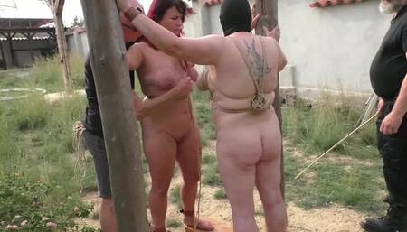 2 Slaves 24h Challenge - Titslave Liz & Slave ThannaA - Chapter 04 - HD - Whips and Titpredicament - Part 01 (wmv)
