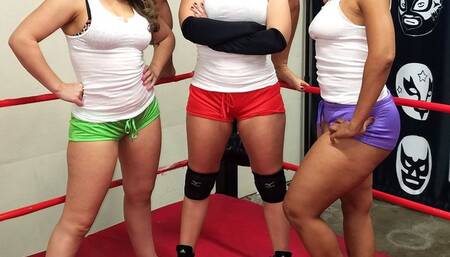 1467-Bully Bra and Panty Party - 3on1 Stripdown Match