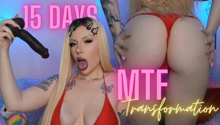 15 days MTF transformation