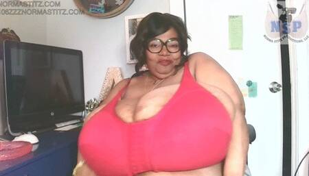 NORMA STITZ RED SMALL BRA JOI SWEET MEAT