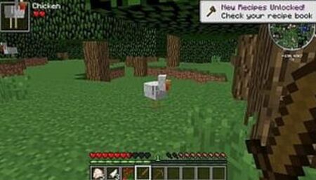 Minecraft play: Almost immortal chickens or why you need a wooden sword